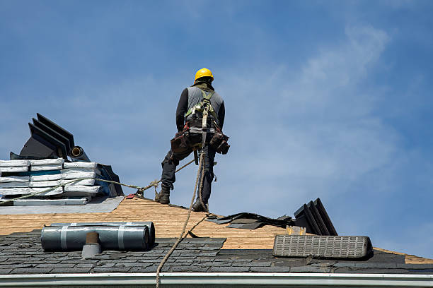 Professional Roof Installation technician working in Livermore, KY